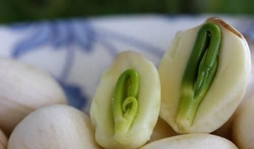 坚果盘点（二）