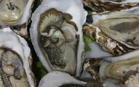 生蚝生吃蘸汁怎么调(生蚝生吃蘸汁的做法)