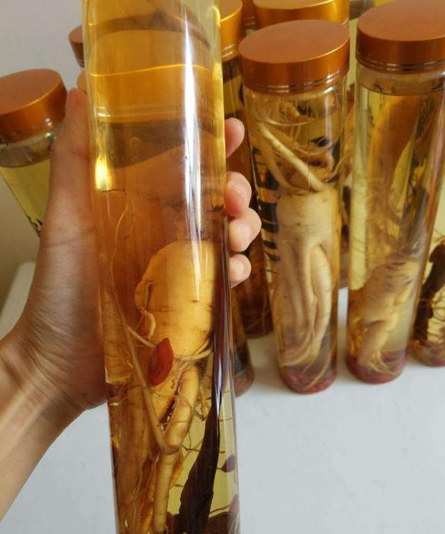 人参的正确吃法，按这种方法选人参，不会错