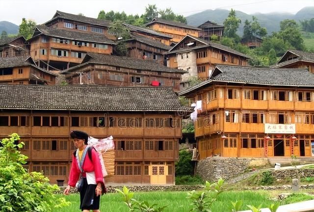 瑶族瑶医瑶药中提的五虎、九牛、十八钻、七十二风是指哪些中药材
