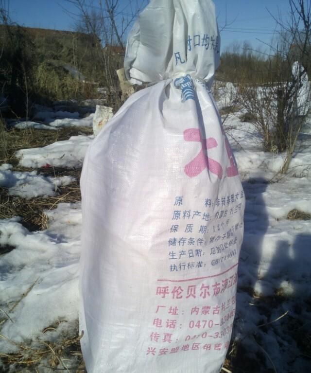 黑加仑是什么(黑加仑是什么水果)图12