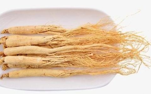 人参有减肥的功效吗