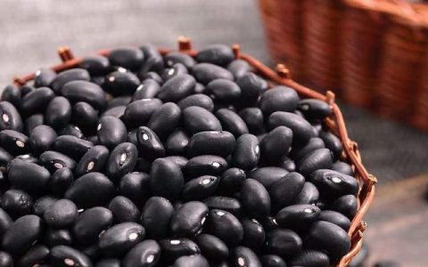 九十四岁老人教你正确的醋泡黑豆