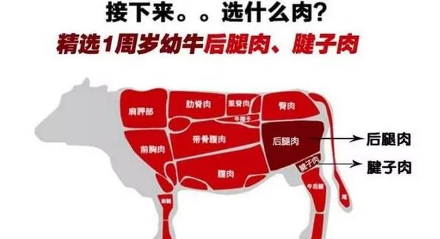 怎么知道牛肉干是不是真的,怎么分辨牛肉干是真牛肉做的图1