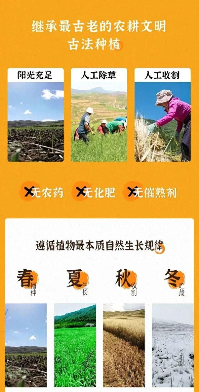粮忻优选百合藏燕麦粉，坐拥自然、分享品质、见证蝶变