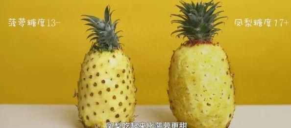 尝过台湾屏东正宗的“金钻凤梨”，再也不想吃菠萝了！够甜，不涩口