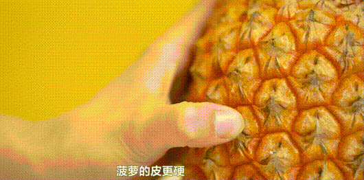 尝过台湾屏东正宗的“金钻凤梨”，再也不想吃菠萝了！够甜，不涩口