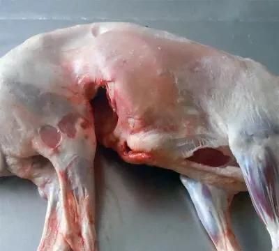 红焖羊肉怎么做,红焖羊肉怎么做好吃又烂图3