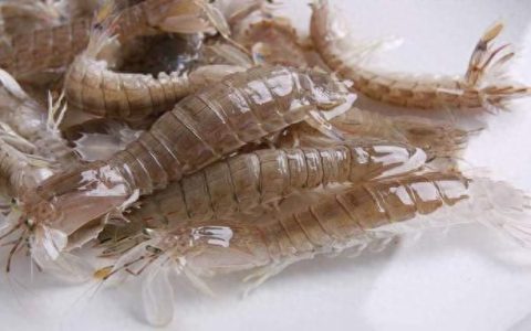 椒盐虾姑的做法大全,椒盐皮皮虾做法步骤图