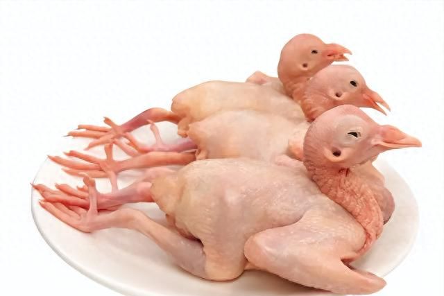 这道别名“仙鹤神针”的名菜，您吃过吗？