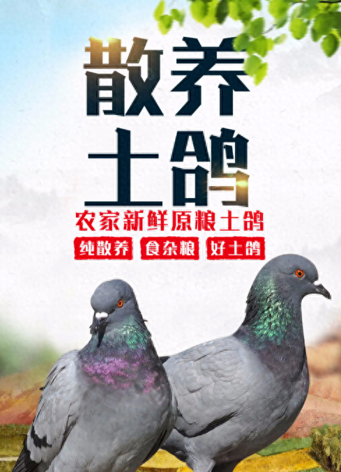 这道别名“仙鹤神针”的名菜，您吃过吗？