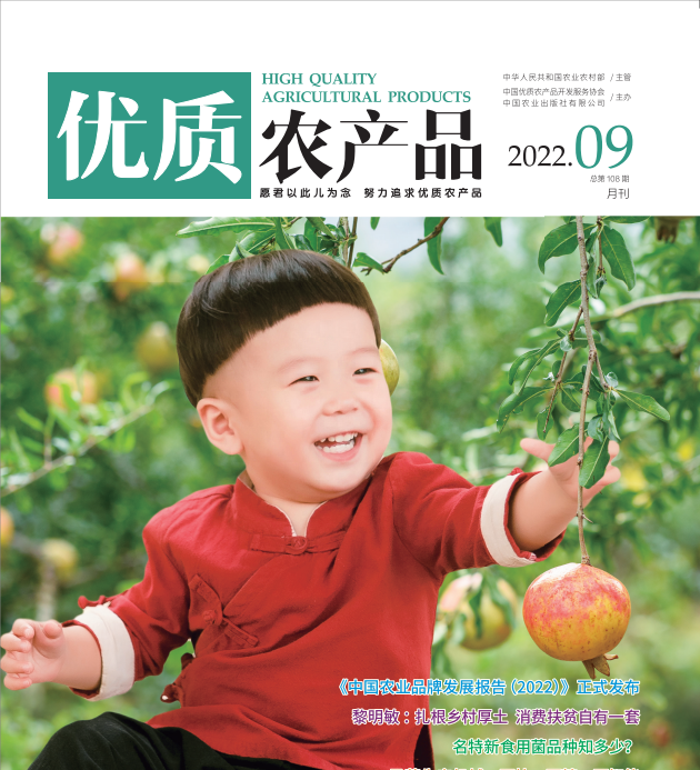 秋风起银杏黄：明明白白吃白果