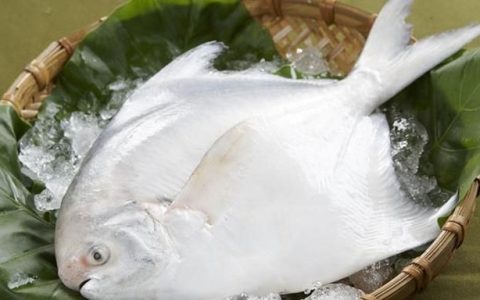 平鱼和武昌鱼有区别吗(武昌鱼是大号平鱼吗)