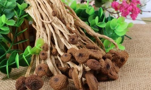 茶树菇有什么作用和功效,茶树菇是什么功效与作用图3