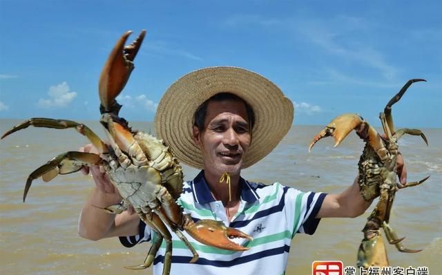 马尾，藏着一座“宝岛”