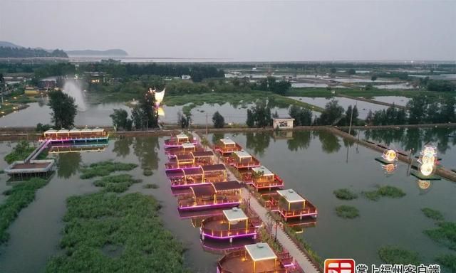 马尾，藏着一座“宝岛”