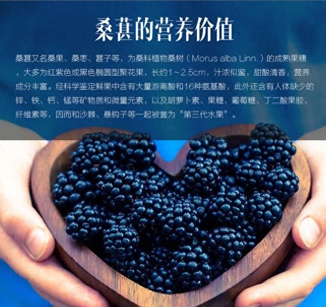 桑葚干泡水喝有什么功效和作用