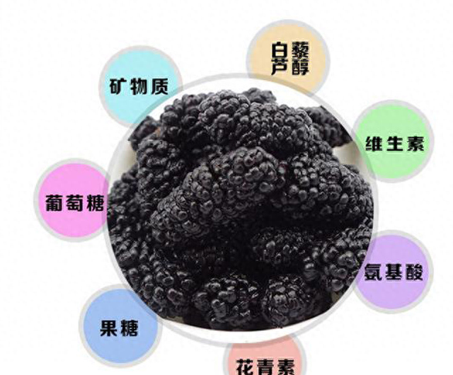 桑葚干泡水喝有什么功效和作用