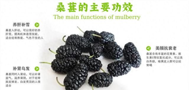 桑葚干泡水喝有什么功效和作用