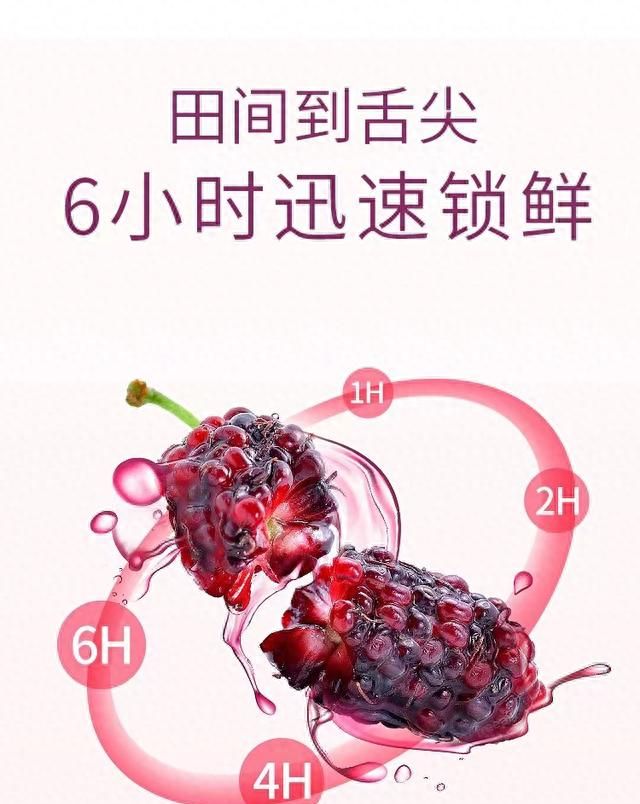 桑葚干泡水喝有什么功效和作用