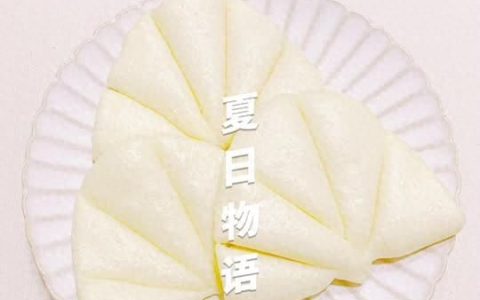 #我的养生日常-远离秋燥#荷叶饼夹红烧肉