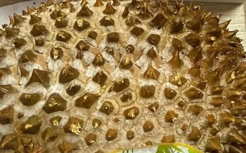 榴莲壳能做什么(榴莲壳能做什么饮料)