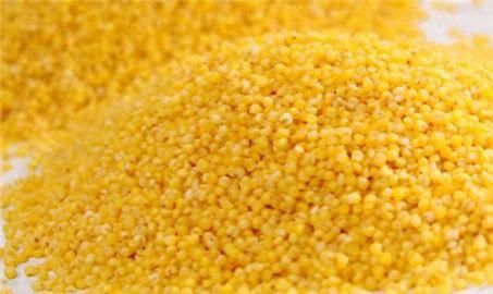 小米的功效与作用及食用方法