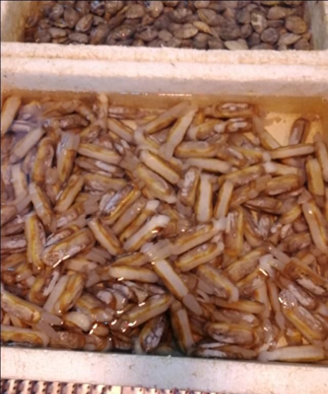花甲还能这样炒，潮汕炒沙甲的经典做法，你试过吗？