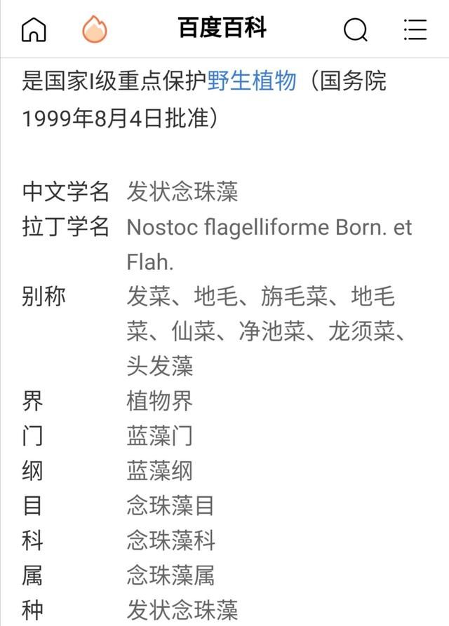 为什么发菜不属于一级保护植物,发菜是什么时候被列为保护植物的图9