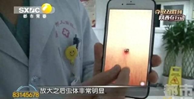 紧急提醒！出门一定要小心它！否则被咬后，可能命就没了