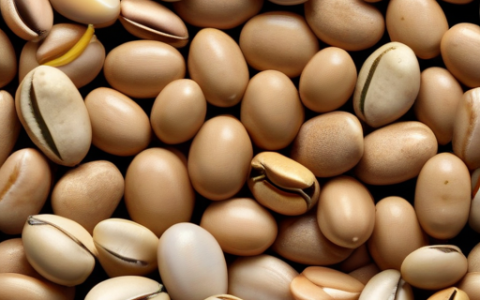 豆类食物有哪些？ 黄豆类食物有哪些？