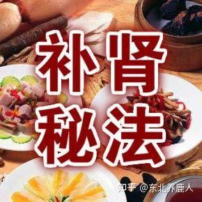 男人泡什么喝好？ 男人泡什么喝壮阳补肾？图1