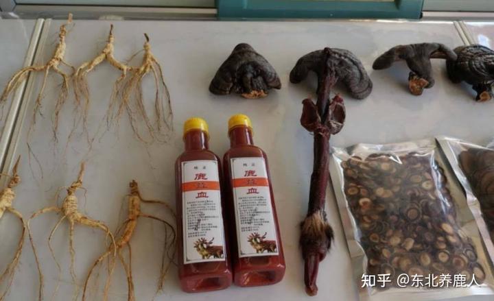 男人泡什么喝好？ 男人泡什么喝壮阳补肾？图4