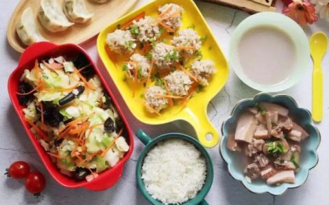 儿童营养食谱？ 儿童营养餐食谱大全及做法？