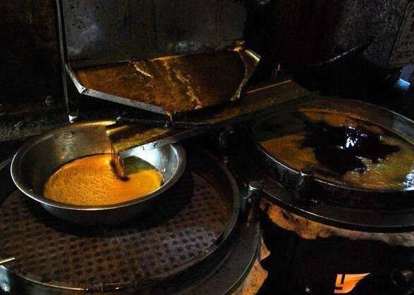这16个饮食养生做法，不是养生是养病