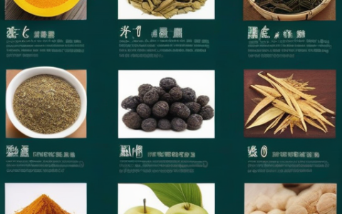 中医二十四节气养生食谱