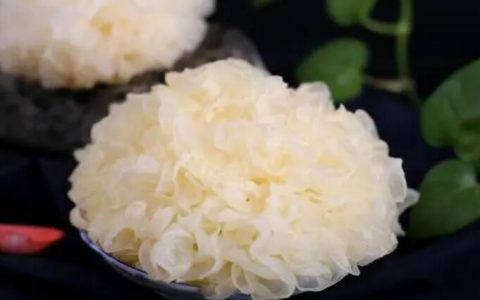 桃胶可以和什么东西一起煮？
