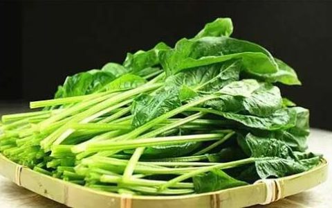 什么蔬菜的营养价值最高？