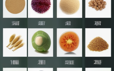 食疗养生的100种食物是什么呢