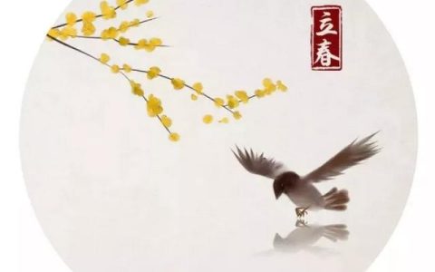 谷雨养生小知识简短？