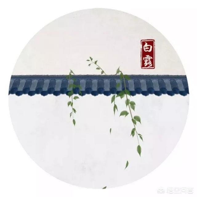 谷雨养生小知识简短？图25