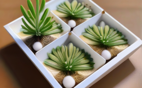 不可忽视的黄芪养生功效与作用