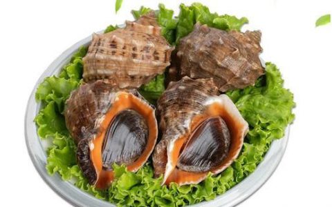 大海螺的正确吃法和做法，如何鉴别鲜活海螺